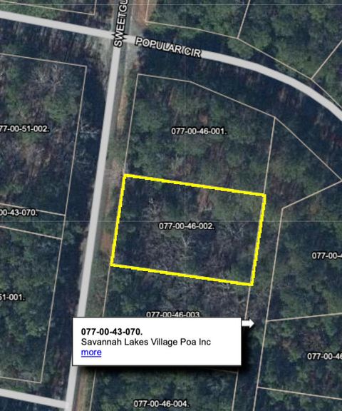 Photo of L2b46 Sweetgum Loop, McCormick, SC 29835 (MLS # 551905)