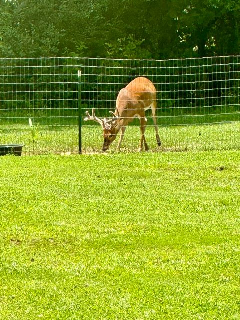 Tiny photo for 509 Fluker Street, Thomson, GA 30824 (MLS # 552535)