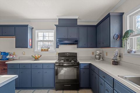 Tiny photo for 1602 Hinton Wilson Road, Harlem, GA 30814 (MLS # 549697)