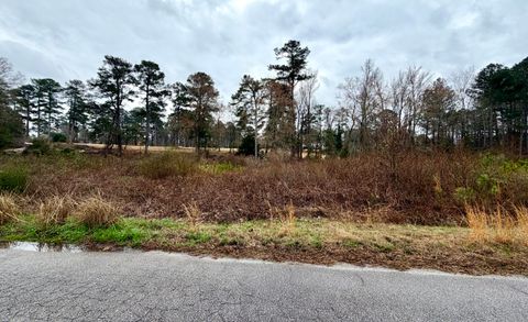 Photo of 2760 Deer Trail Road, Thomson, GA 30824 (MLS # 552651)