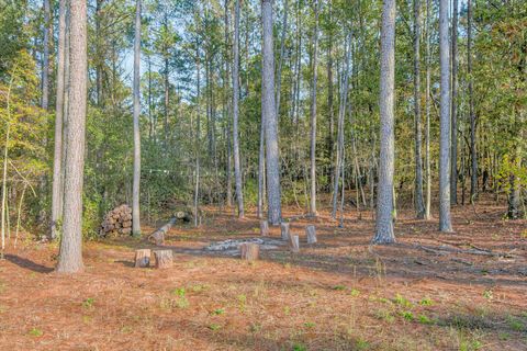 Tiny photo for 1675 Swint Road Road, Harlem, GA 30814 (MLS # 549356)