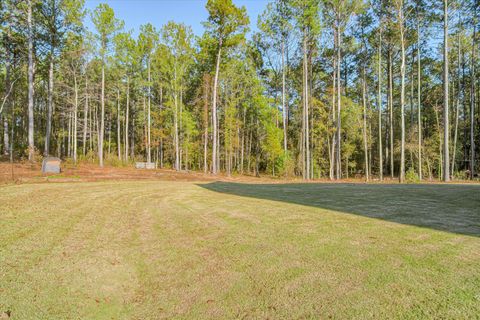 Tiny photo for 1675 Swint Road Road, Harlem, GA 30814 (MLS # 549356)