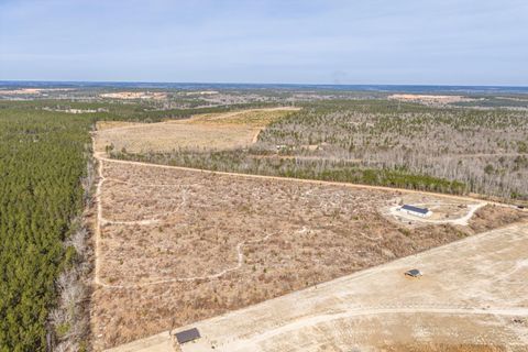 Tiny photo for 2579 Jessie James Pond Road, Wrens, GA 30833 (MLS # 551835)