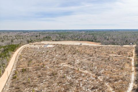 Tiny photo for 2579 Jessie James Pond Road, Wrens, GA 30833 (MLS # 551835)