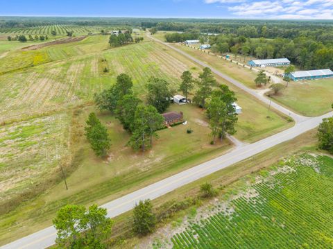 Tiny photo for 5303 Buttermilk Road, Sylvania, GA 30467 (MLS # 547943)