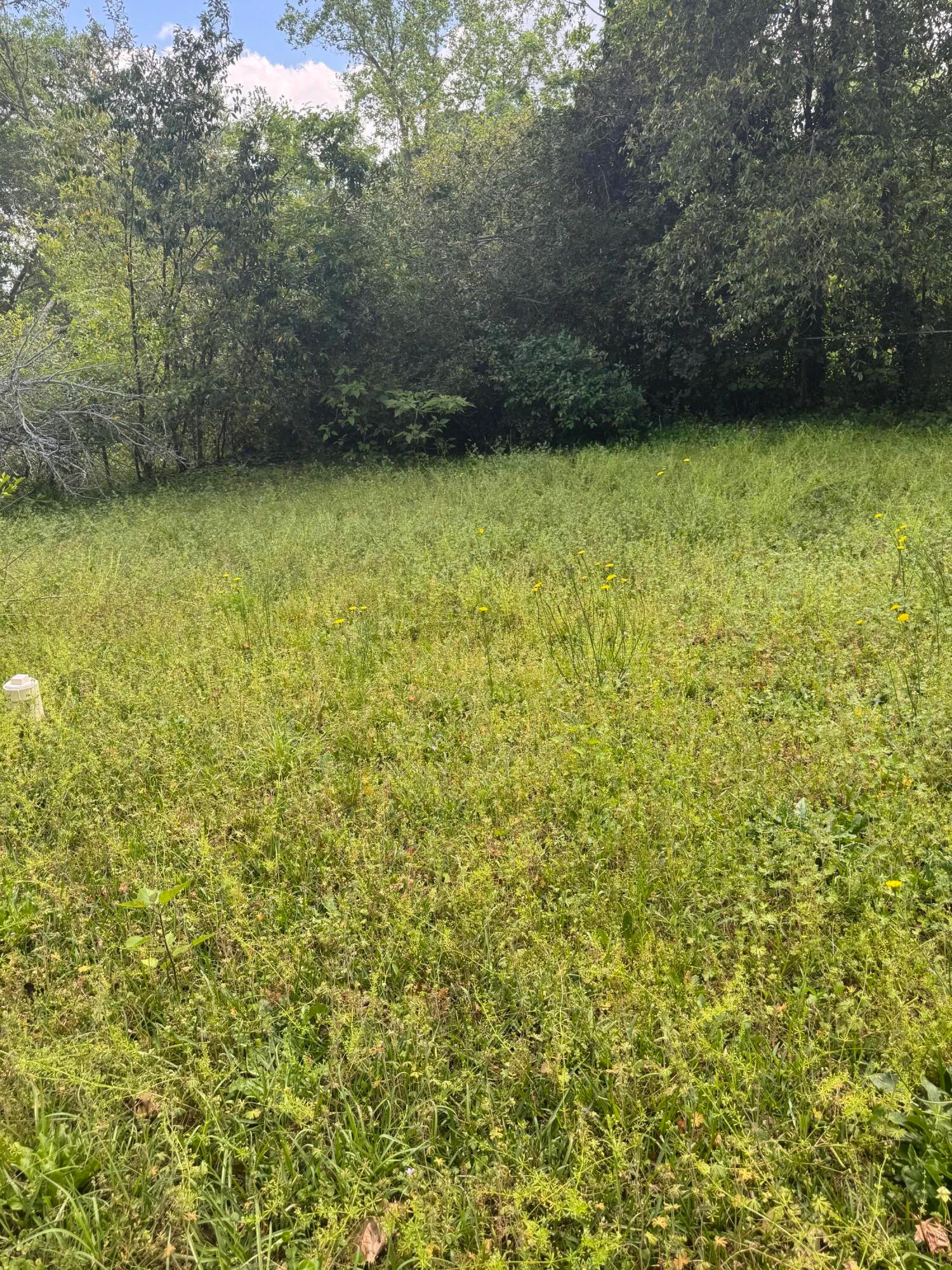 Augusta, Georgia 30906, United States, 3 Bedrooms Bedrooms, ,1 BathroomBathrooms,Residential,Active,107826