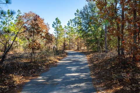 Tiny photo for 4454 Deans Bridge Road, Blythe, GA 30805 (MLS # 550202)