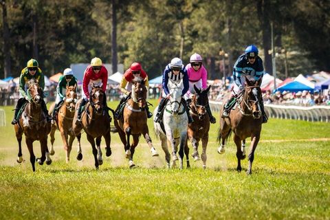 Tiny photo for 8193 Snelling Drive, Aiken, SC 29803 (MLS # 546454)