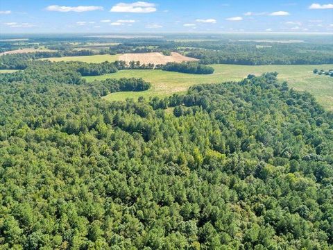 Tiny photo for 356 Massey-Doss Road, Keysville, GA 30816 (MLS # 547016)