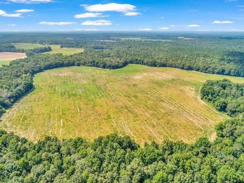 Tiny photo for 356 Massey-Doss Road, Keysville, GA 30816 (MLS # 547016)