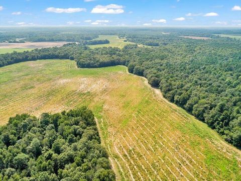 Tiny photo for 356 Massey-Doss Road, Keysville, GA 30816 (MLS # 547016)