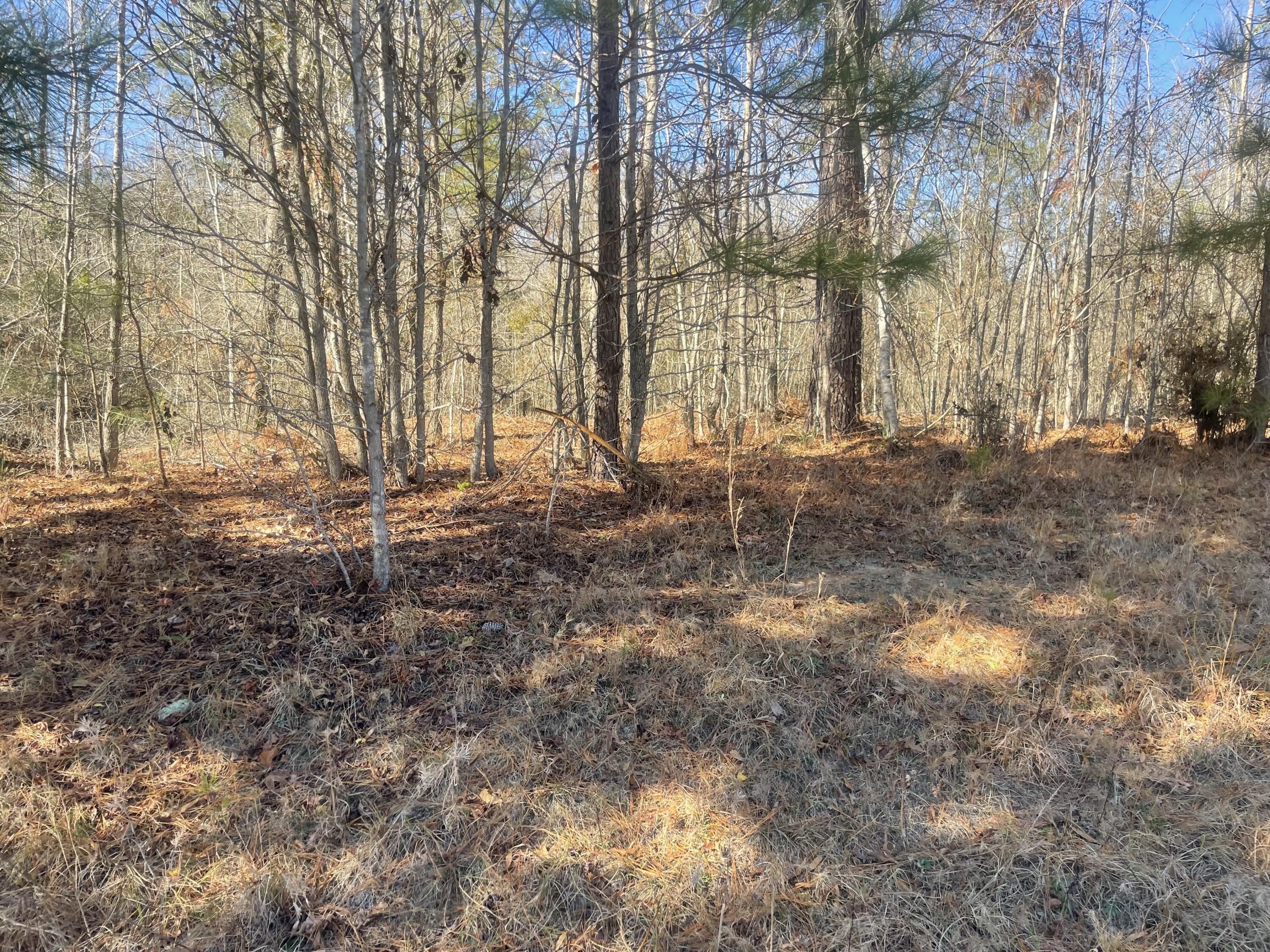 LOT 8 BLACK PEARL Drive