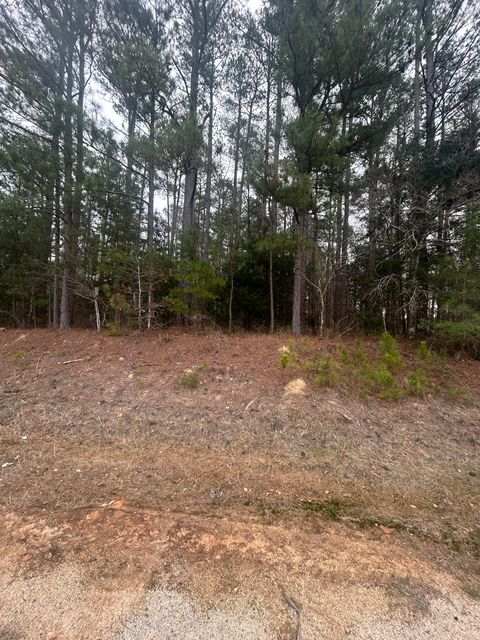 Photo of 16.9 Ac Hwy 220 E, Lincolnton, GA 30817 (MLS # 551287)