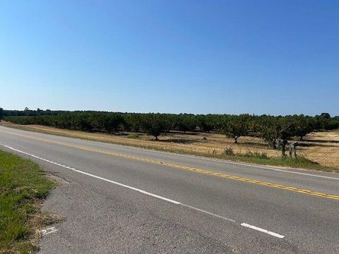 Photo of 18 Billy Drive, Trenton, SC 29847 (MLS # 543817)