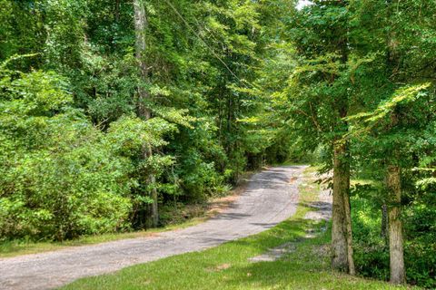 Tiny photo for 6494 Washington Road, Appling, GA 30802 (MLS # 551224)