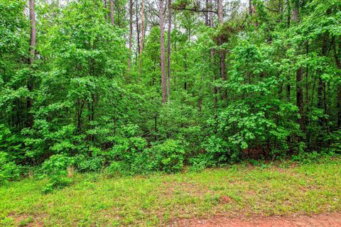 Photo of 1622 Hinton Wilson Road, Harlem, GA 30814 (MLS # 555389)