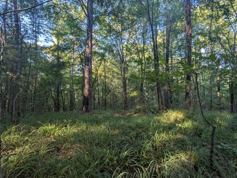 Tiny photo for 10 New Market Road, Trenton, SC 29847 (MLS # 545962)
