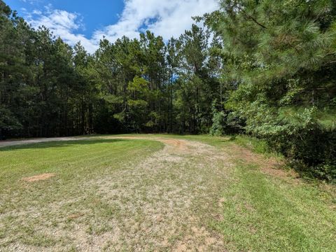 Tiny photo for 10 New Market Road, Trenton, SC 29847 (MLS # 545962)