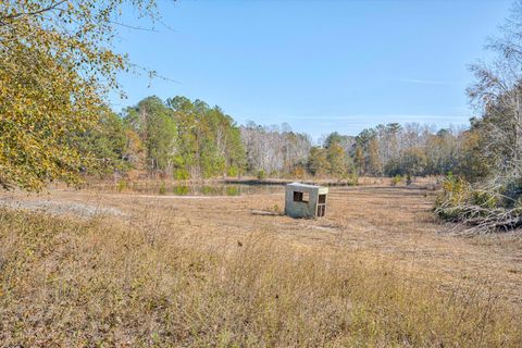 Tiny photo for 5974 Deans Bridge Road, Blythe, GA 30805 (MLS # 549665)