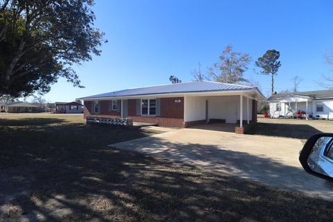 A home in Midville