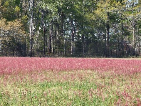 Photo of 1880 Alexander- Munnerlyn Road, Sardis, GA 30456 (MLS # 552914)