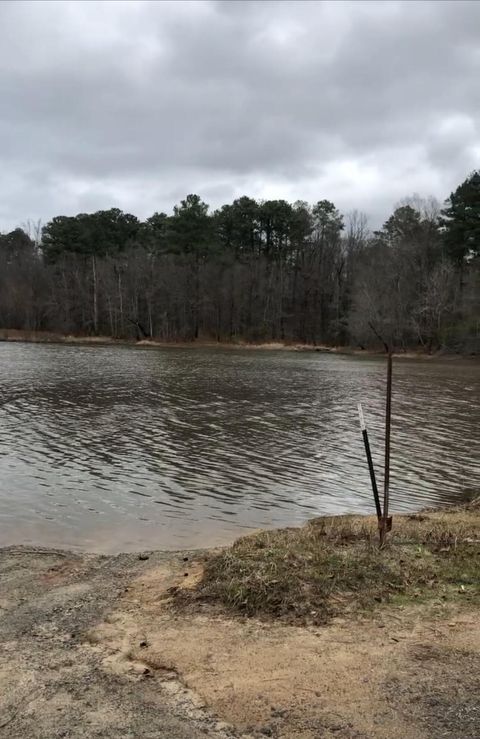 Tiny photo for 1051 Macdonald Street, Tignall, GA 30668 (MLS # 549626)