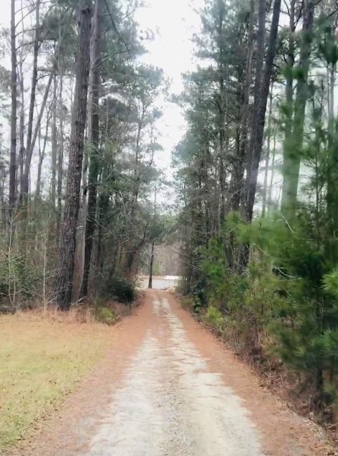 Tiny photo for 1051 Macdonald Street, Tignall, GA 30668 (MLS # 549626)