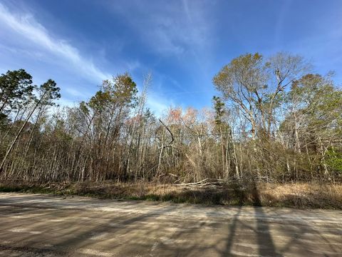 Photo of Lot 12 Robin Boulevard, Swainsboro, GA 30401 (MLS # 555078)