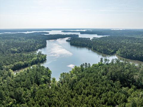 Tiny photo for 1036 Longleaf Way, Lincolnton, GA 30817 (MLS # 553078)