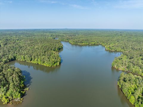 Tiny photo for 1036 Longleaf Way, Lincolnton, GA 30817 (MLS # 553078)