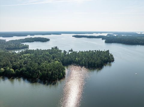 Tiny photo for 1036 Longleaf Way, Lincolnton, GA 30817 (MLS # 553078)