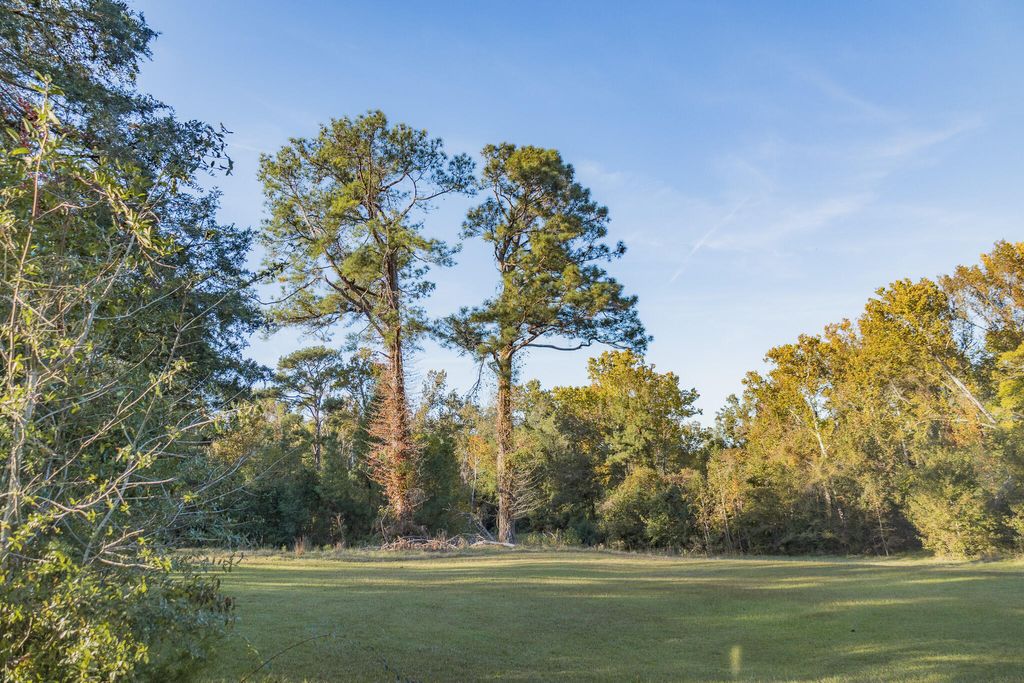 Photo of 341 Azalea Avenue, Millen, GA 30442 (MLS # 549135)