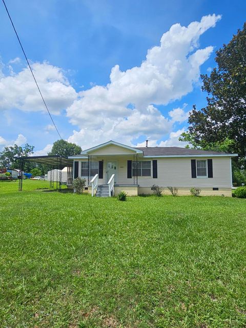 Photo of 1055 Scruggs Circle, Bartow, GA 30413 (MLS # 543518)