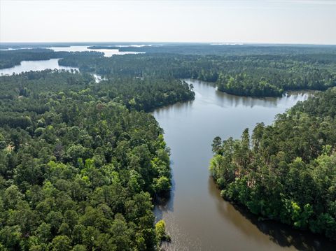 Tiny photo for 1036 Longleaf Way, Lincolnton, GA 30817 (MLS # 542998)