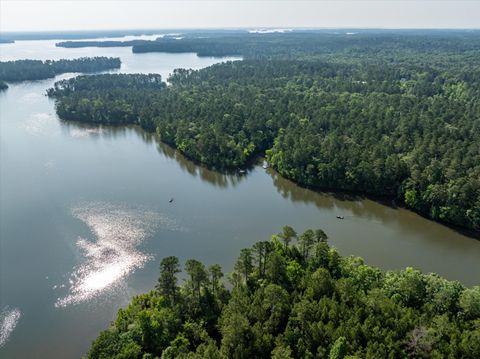 Tiny photo for 1036 Longleaf Way, Lincolnton, GA 30817 (MLS # 542998)