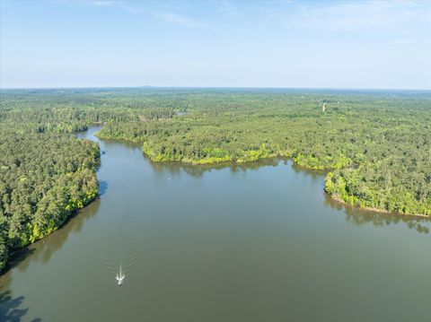 Tiny photo for 1036 Longleaf Way, Lincolnton, GA 30817 (MLS # 542998)