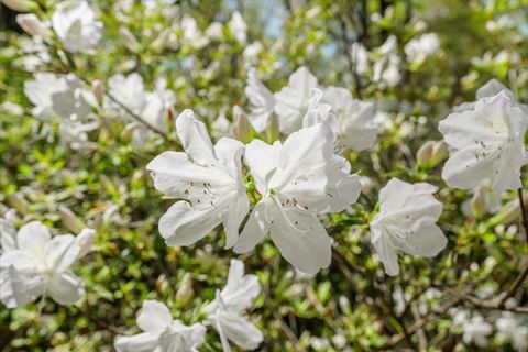 Tiny photo for 3593 Silver Bluff Road, Aiken, SC 29803 (MLS # 540343)