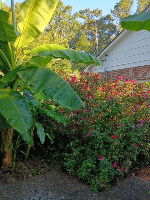 Tiny photo for 1259 Jefferson Street, McCormick, SC 29835 (MLS # 547439)
