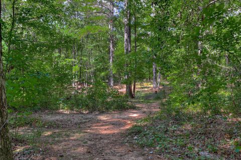 Tiny photo for 1259 Jefferson Street, McCormick, SC 29835 (MLS # 547439)