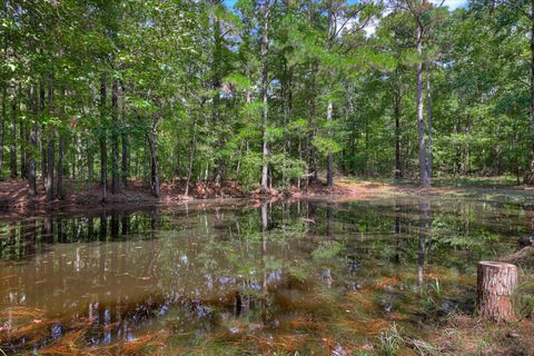 Tiny photo for 1259 Jefferson Street, McCormick, SC 29835 (MLS # 547439)