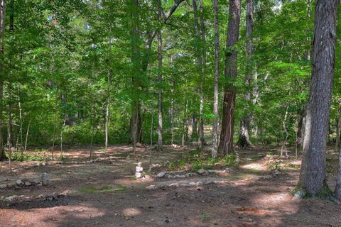 Tiny photo for 1259 Jefferson Street, McCormick, SC 29835 (MLS # 547439)