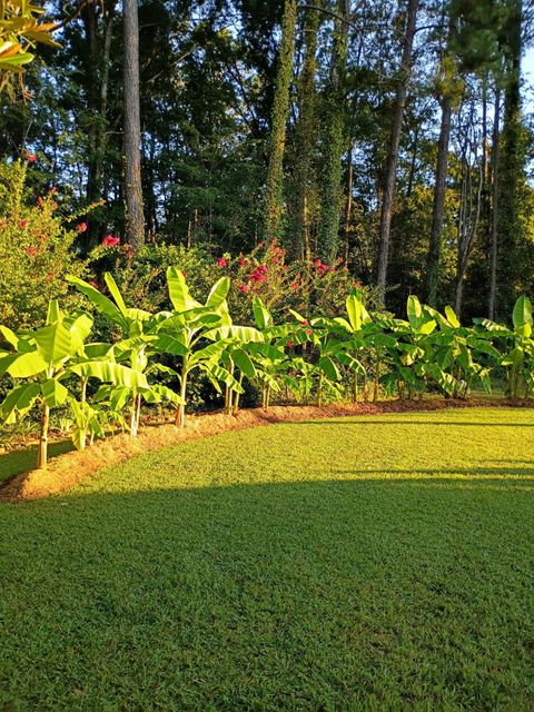 Tiny photo for 1259 Jefferson Street, McCormick, SC 29835 (MLS # 547439)