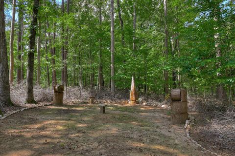 Tiny photo for 1259 Jefferson Street, McCormick, SC 29835 (MLS # 547439)