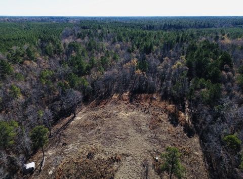 Photo of 6975 Highway 80, Keysville, GA 30816 (MLS # 550341)