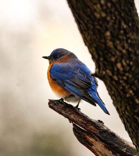 Tiny photo for 3042 Johnny Court, Augusta, GA 30906 (MLS # 549783)