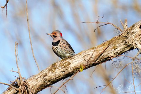 Tiny photo for 3042 Johnny Court, Augusta, GA 30906 (MLS # 549783)