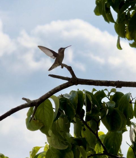 Tiny photo for 3042 Johnny Court, Augusta, GA 30906 (MLS # 549783)