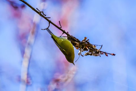 Tiny photo for 3042 Johnny Court, Augusta, GA 30906 (MLS # 549783)