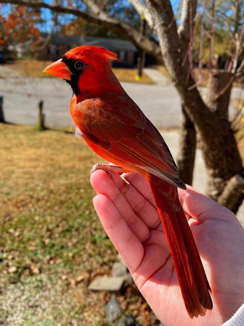 Tiny photo for 3042 Johnny Court, Augusta, GA 30906 (MLS # 549783)