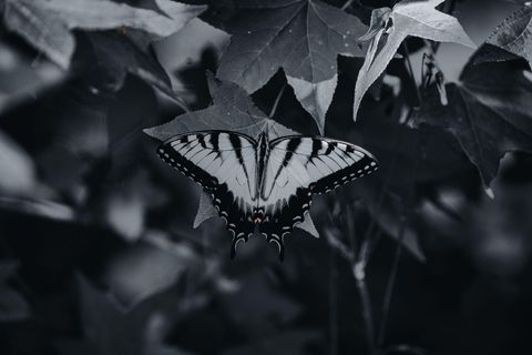 Tiny photo for 3042 Johnny Court, Augusta, GA 30906 (MLS # 549783)